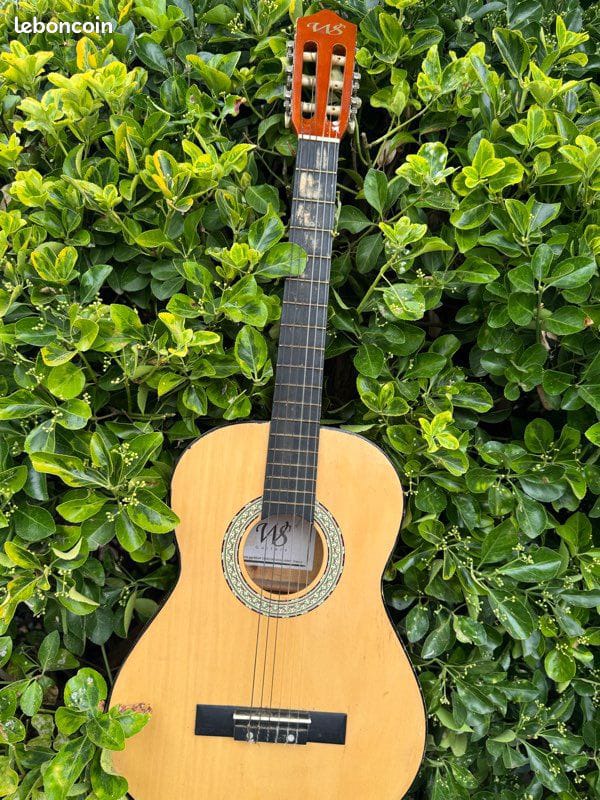 Guitare Classique Acoustique